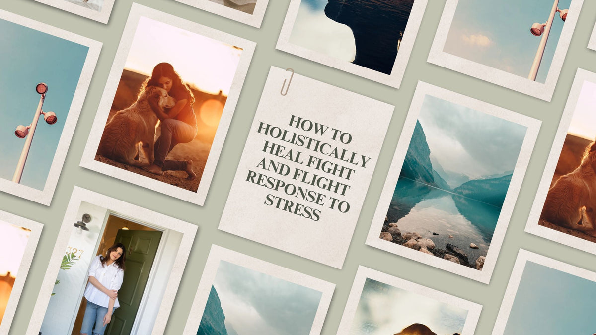 How to Holistically Heal Fight and Flight Response to Stress