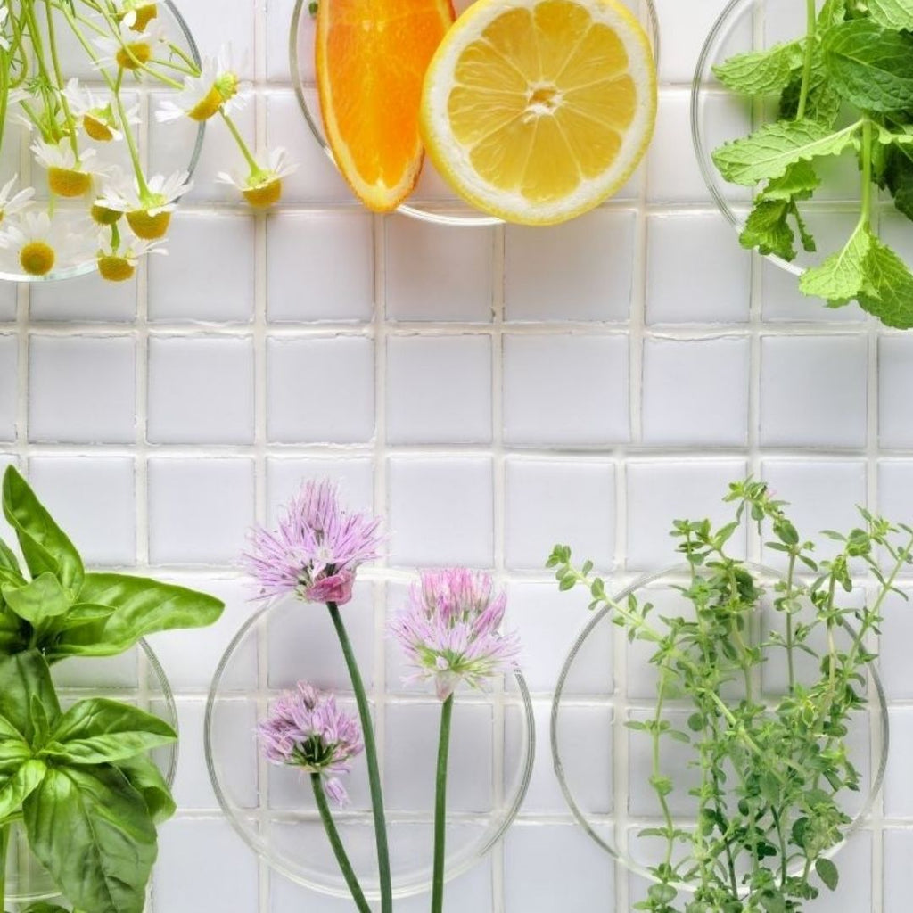 My Favourite Herbs For A Common Cold