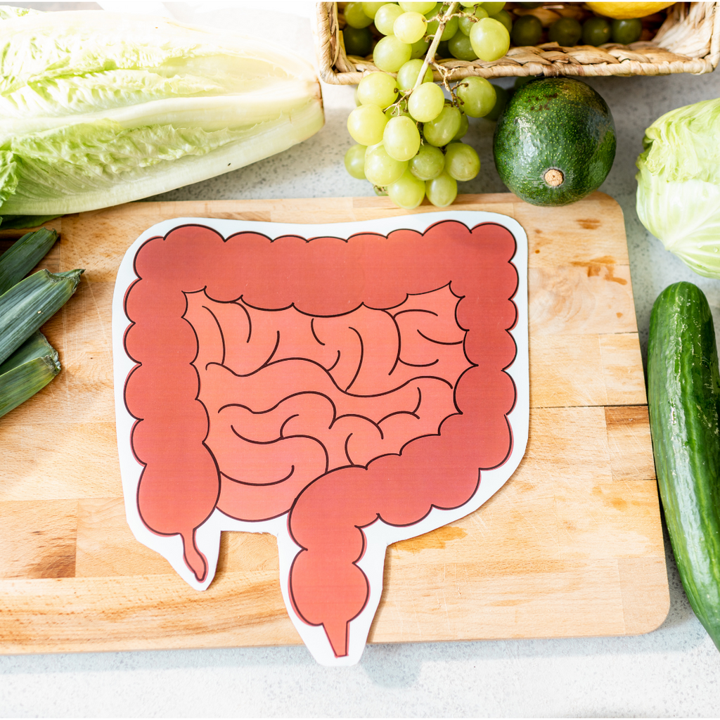 If Your Gut Could Talk ~ Gut Microbiome, Part 1