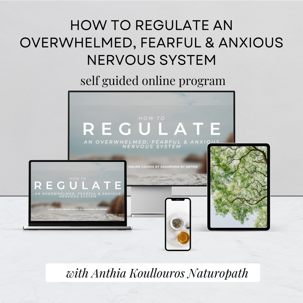 Special Announcement: 50% off Online Course: How To Regulate An Overwhelmed, Fearful & Anxious Nervous System