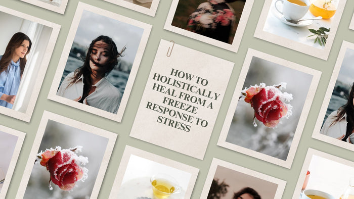 How to Holistically Heal From a Freeze Response to Stress
