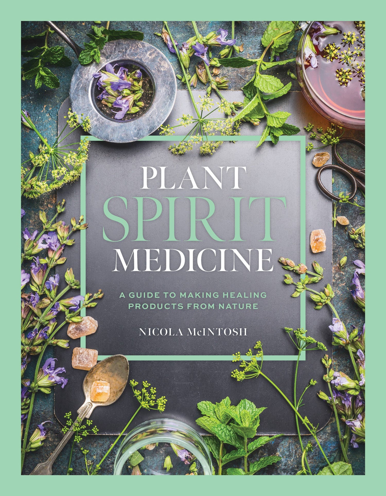 Plant Spirit Medicine (Hardcover)