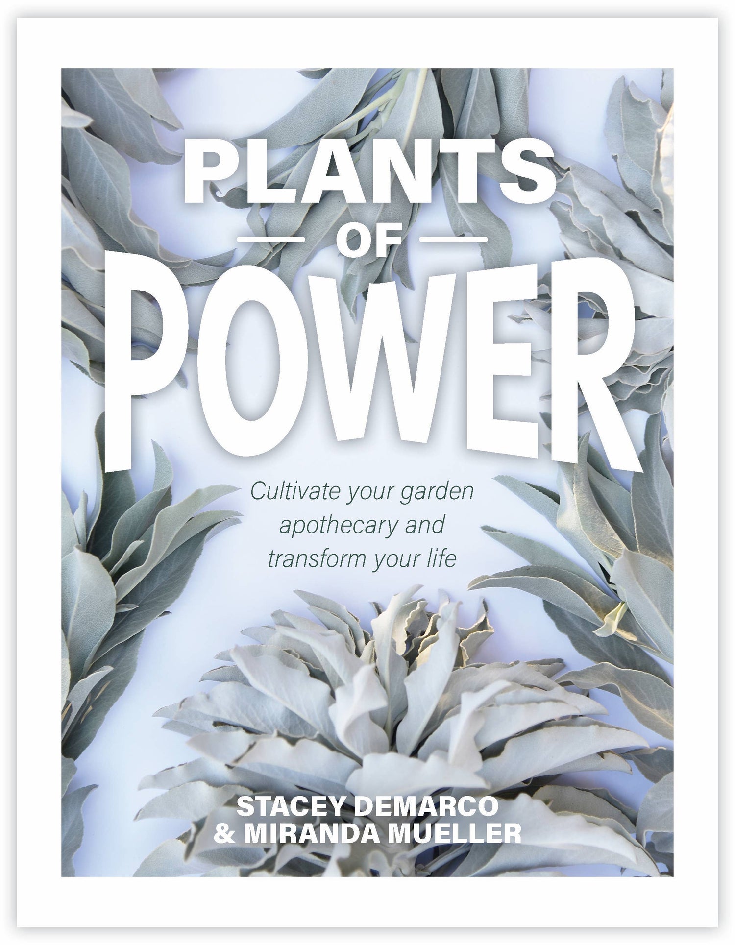 Plants of Power (Hardcover)