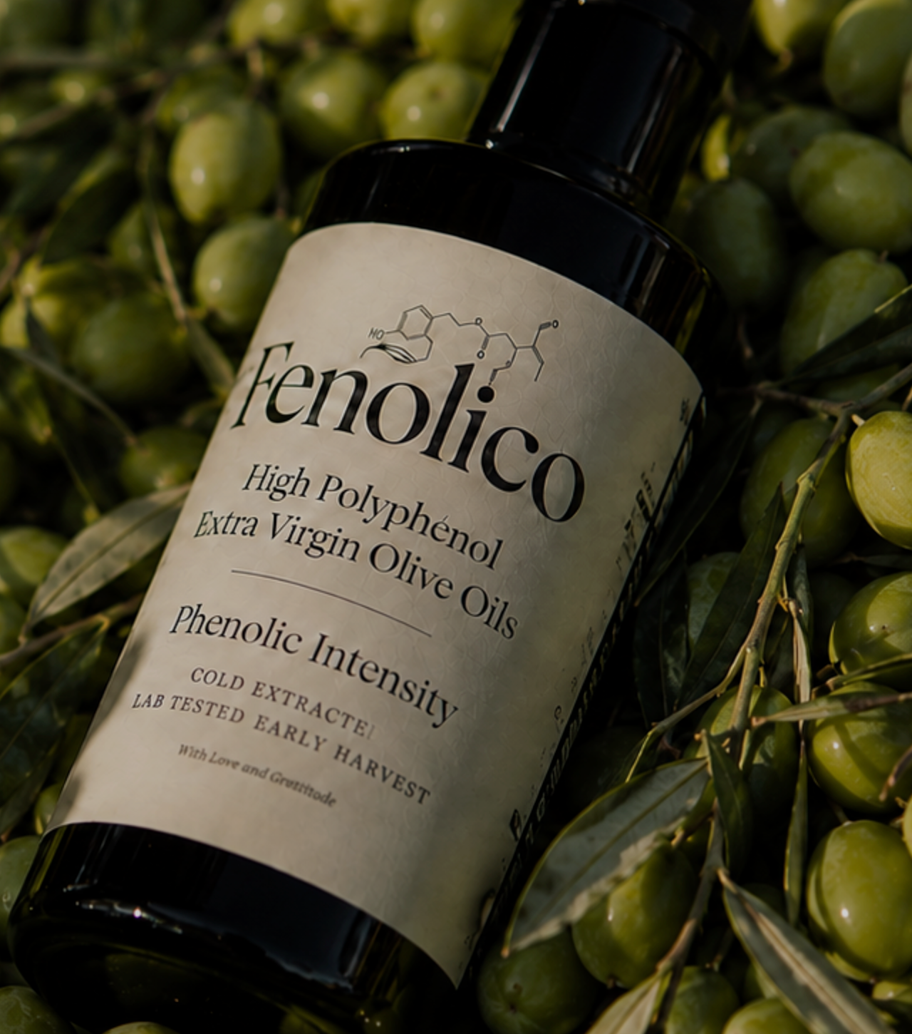 Fenolico High Polyphenol Olive oil 500ml (936 mg/kg Polyphenols at Harvest)